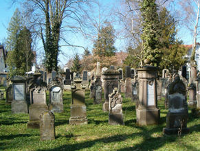 Friedhof 2010